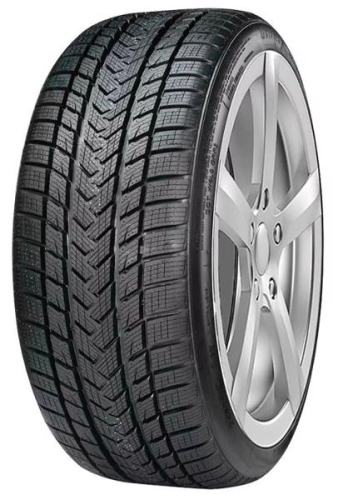 Gripmax SureGrip eWinter 205/50 R17 93V