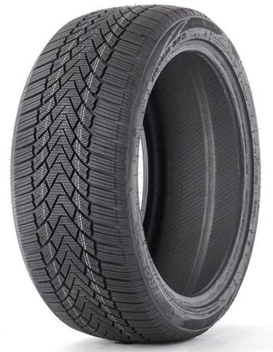 Fronway ICEMASTER I 195/55R16 91H