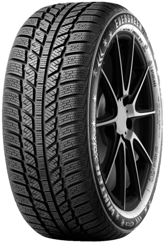 Evergreen EW62 195/55 R15 85H