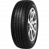 Minerva Ecosport SUV 255/55R18 109W