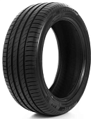 Delinte DS-2 SUV 275/55R19 111V