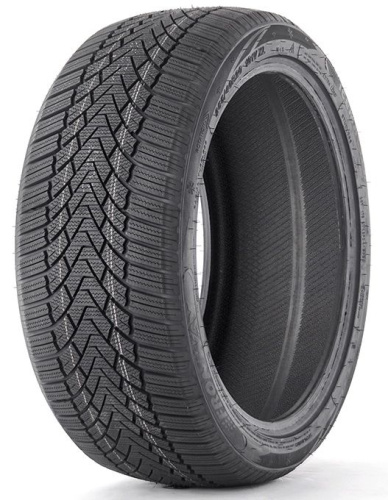 Fronway ICEMASTER I 245/45 R18 100H